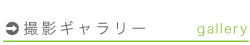 チアー撮影ギャラリー